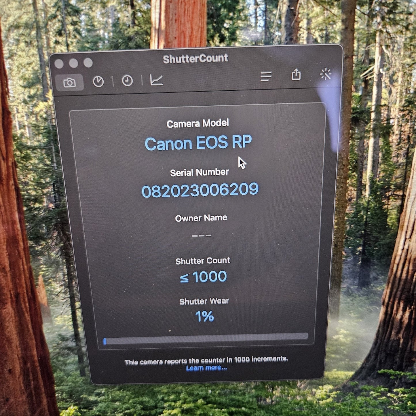 Canon EOS RP 26.2MP Mirrorless Digital Camera Body SN6209