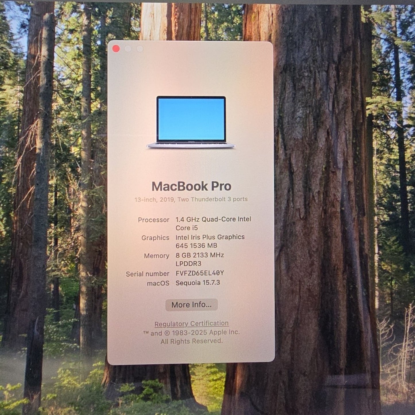 2019 Apple MacBook Pro 13.3" i5 1.4GHz 8GB RAM 128GB SSD Silver A2159 L196