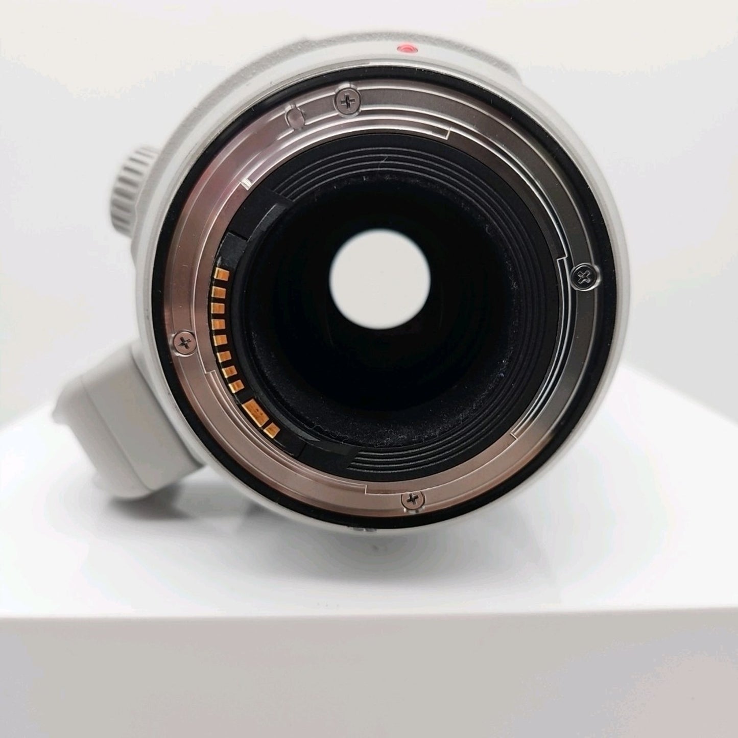Canon EF 100-400mm f/4.5-5.6L IS Ⅱ USM Lens