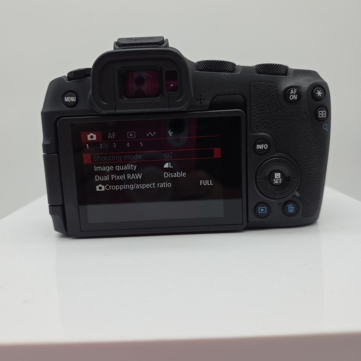 Canon EOS R8 Mirrorless Camera with RF 24-50mm f/4.5-6.3 IS STM SN