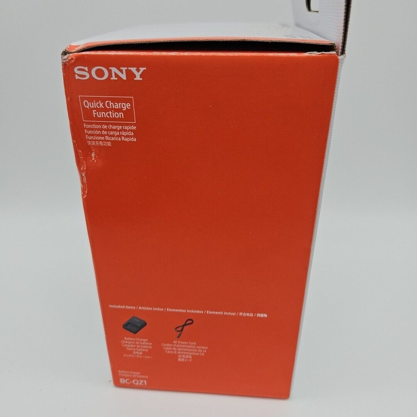 SONY BC-QZ1 Z Series Infolithium Battery Charger for Sony NP-FZ100 N