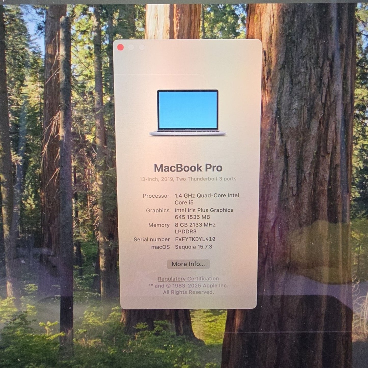 2019 Apple MacBook Pro 13.3" i5 1.4GHz 8GB RAM 256GB SSD A2159 l192